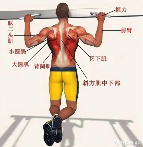PP電子網(wǎng)站入口，家庭物聯(lián)網(wǎng)都是什么組成